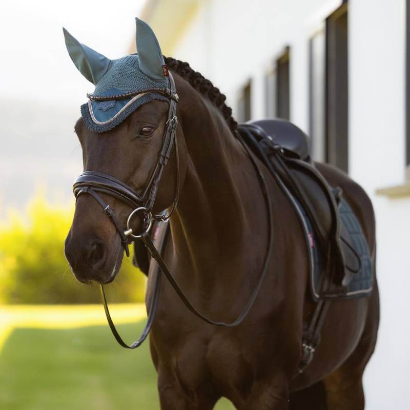 A dark horse in a LeMieux Loire Fly Hood Jungle stands outside a white building on a sunny day.