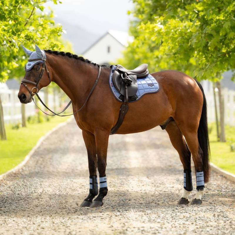 LeMieux Loire Classic GP Square Powder Blue saddle pad with black underside, on white background.