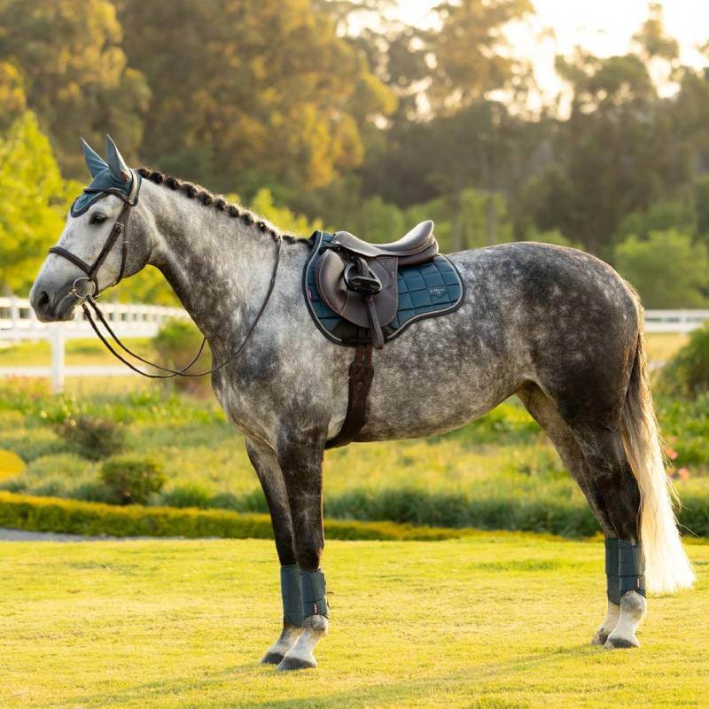LeMieux Loire Classic GP Square Jungle with grey trim, black reinforcement, and signature logo.