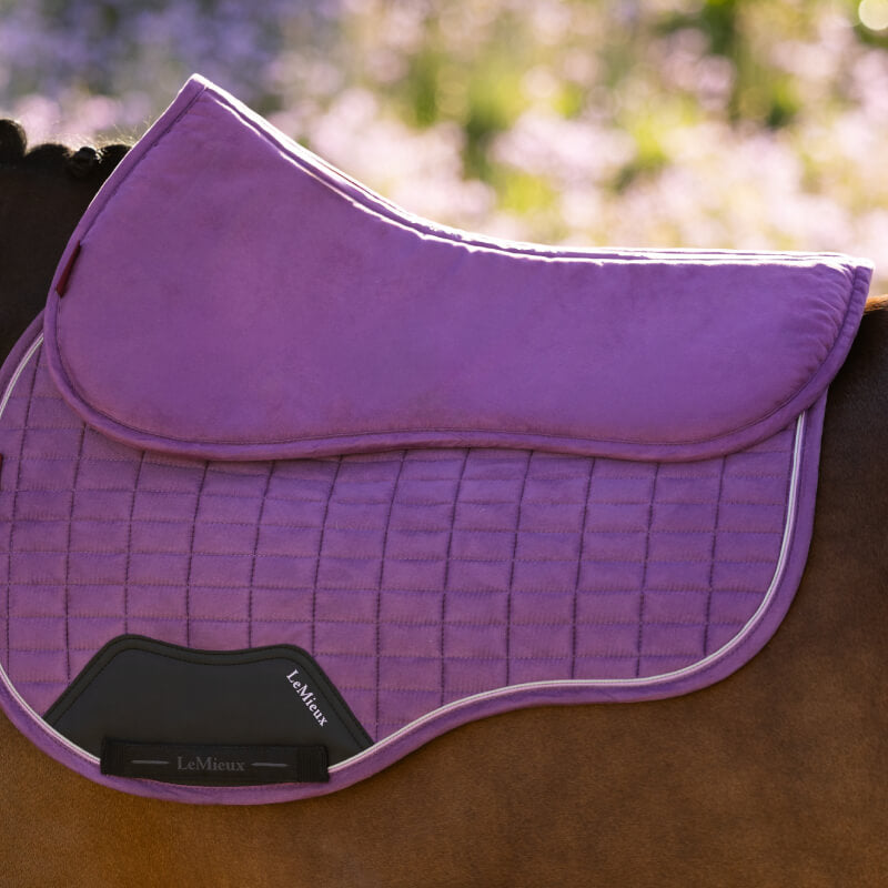 LeMieux Suede Half Pad Mallow with curved edges, shown on a plain white background.