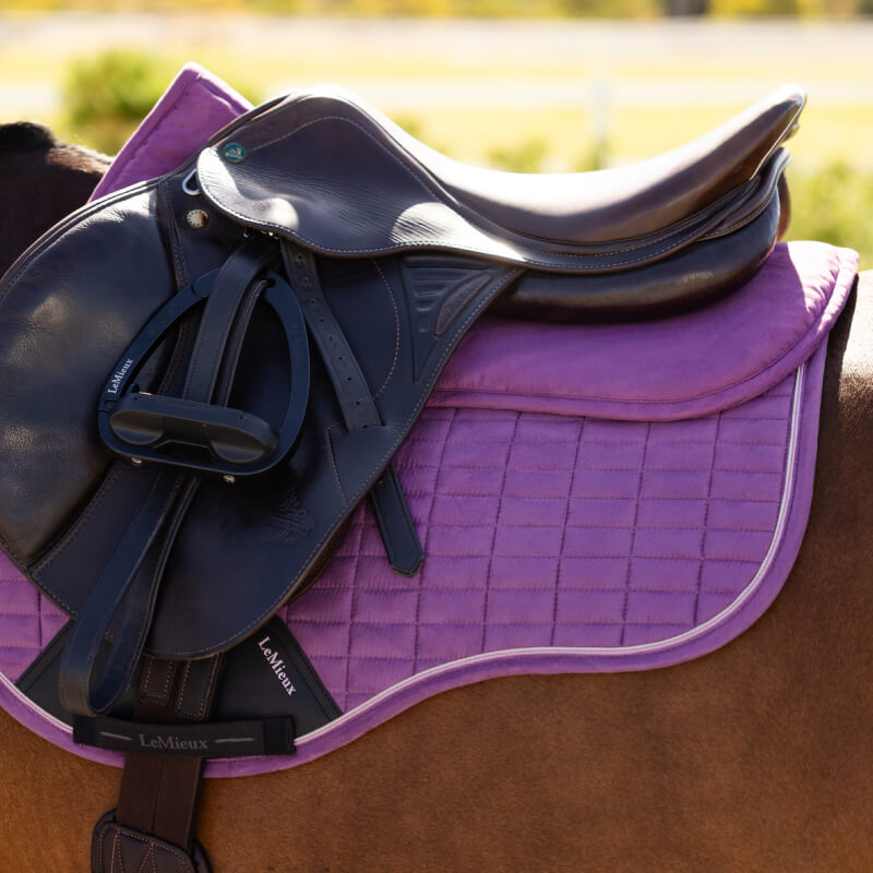 Black saddle on a horse with a LeMieux Suede Half Pad Mallow underneath.
