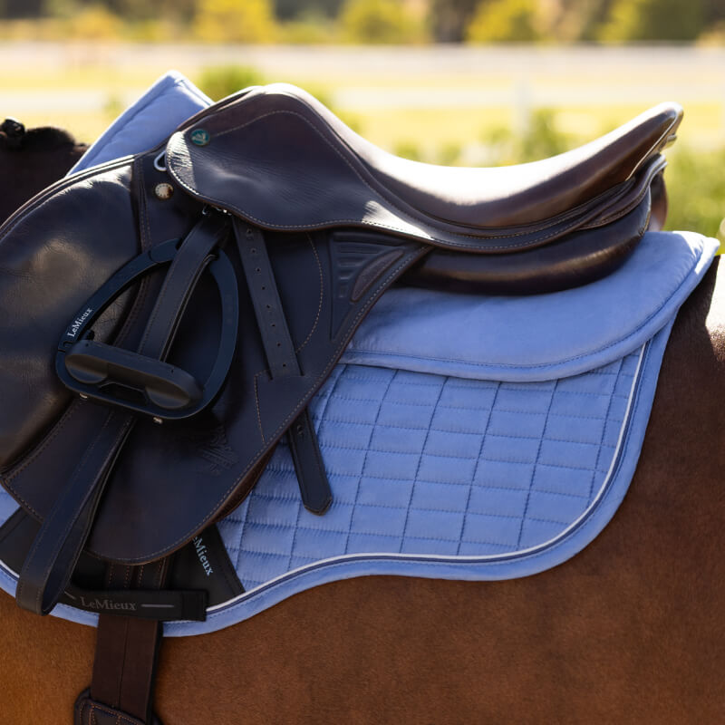 A black saddle and LeMieux Suede Half Pad Powder Blue on a brown horse, outdoors in sunlight.