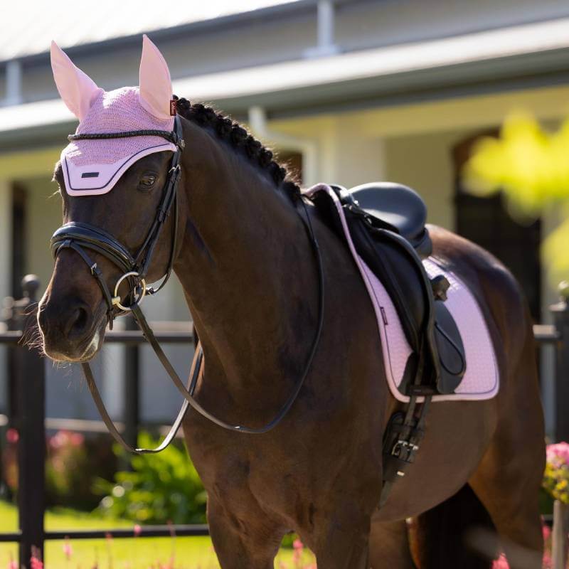A brown horse in pink tack and a LeMieux Essence Fly Hood Fondant stands by a black fence.