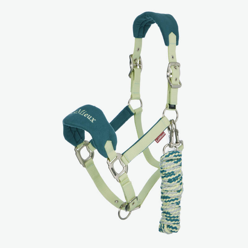 Brown horse in a LeMieux Vogue Headcollar & Leadrope Macaron stands by a yellow-green tree.