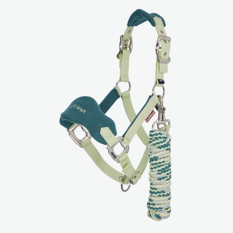 A white horse with braided mane wears a green LeMieux Mini Vogue Headcollar & Leadrope Macaron.