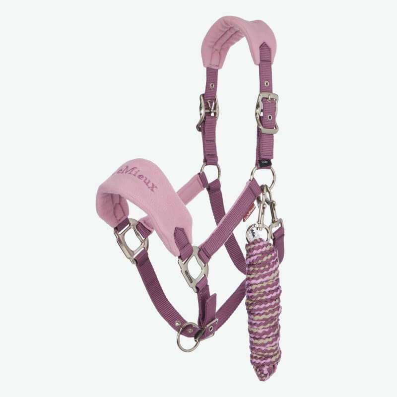 Brown horse in a LeMieux Vogue Headcollar & Leadrope Mallow stands by a white fence outdoors.