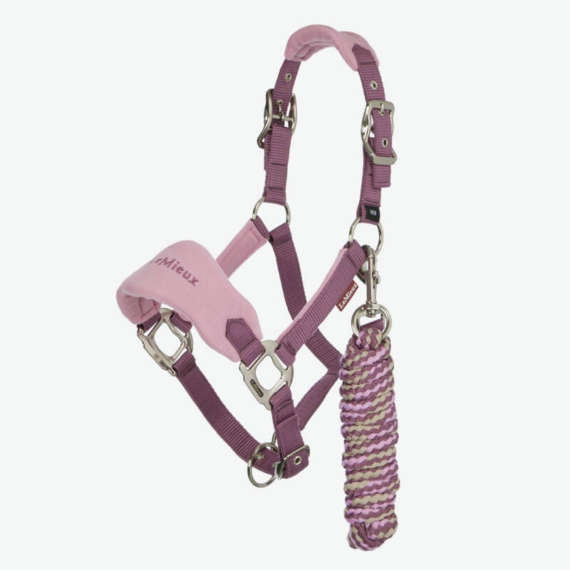 A brown pony wears a pink LeMieux Mini Vogue Headcollar & Leadrope Mallow in sunlight.