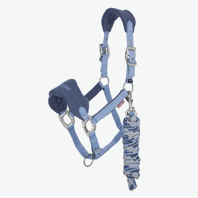 Brown horse with braided mane in LeMieux Vogue Headcollar & Leadrope Powder Blue outdoors.