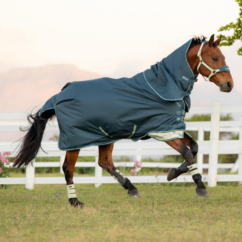 Brown horse in LeMieux Arika Ripstop 50g Turnout Rug Jungle runs through a grassy field.