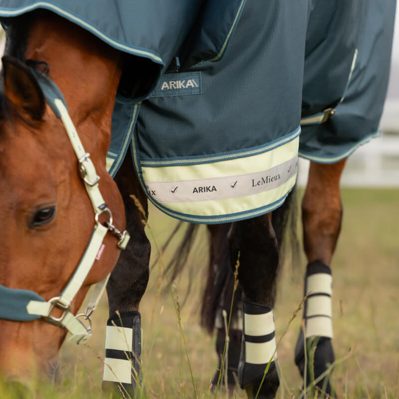 Horse grazing, wearing LeMieux Arika Ripstop 50g Turnout Rug Jungle.