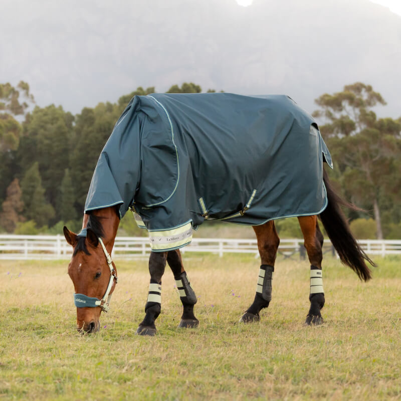 Brown horse in LeMieux Arika Ripstop 50g Turnout Rug Jungle grazing by trees and a fence.