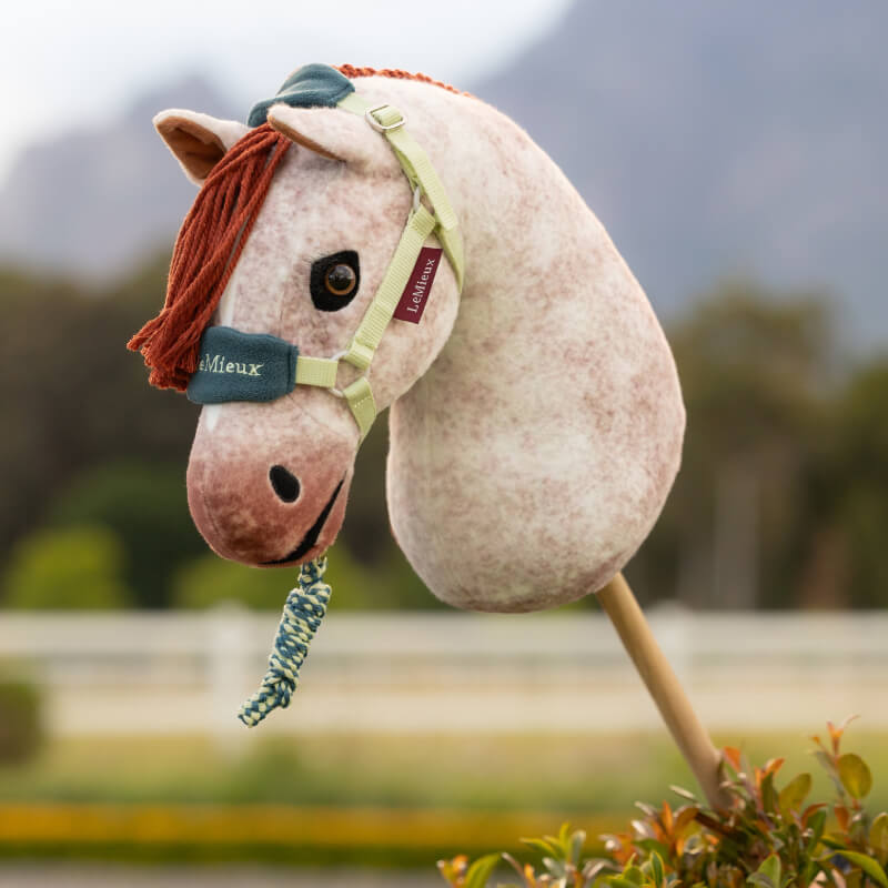 LeMieux Hobby Horse Vogue Headcollar & Leadrope Macaron in pale green by LeMieux.