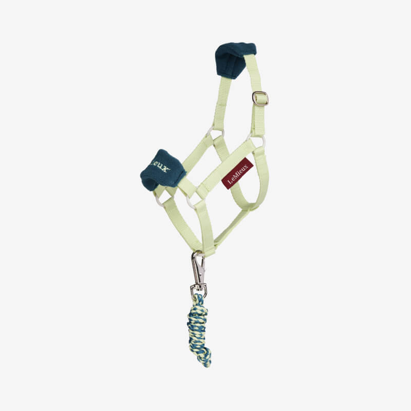 LeMieux Hobby Horse Vogue Headcollar & Leadrope Macaron in light green and blue on white background.