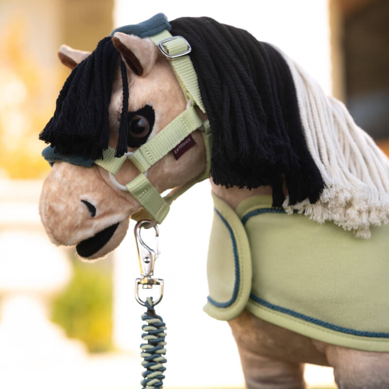 LeMieux Toy Pony Vogue Headcollar & Leadrope Macaron in light green with padded blue detail.
