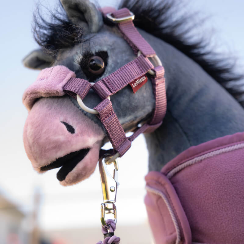LeMieux Toy Pony Vogue Headcollar & Leadrope Mallow set by LeMieux, pink with silver clip.