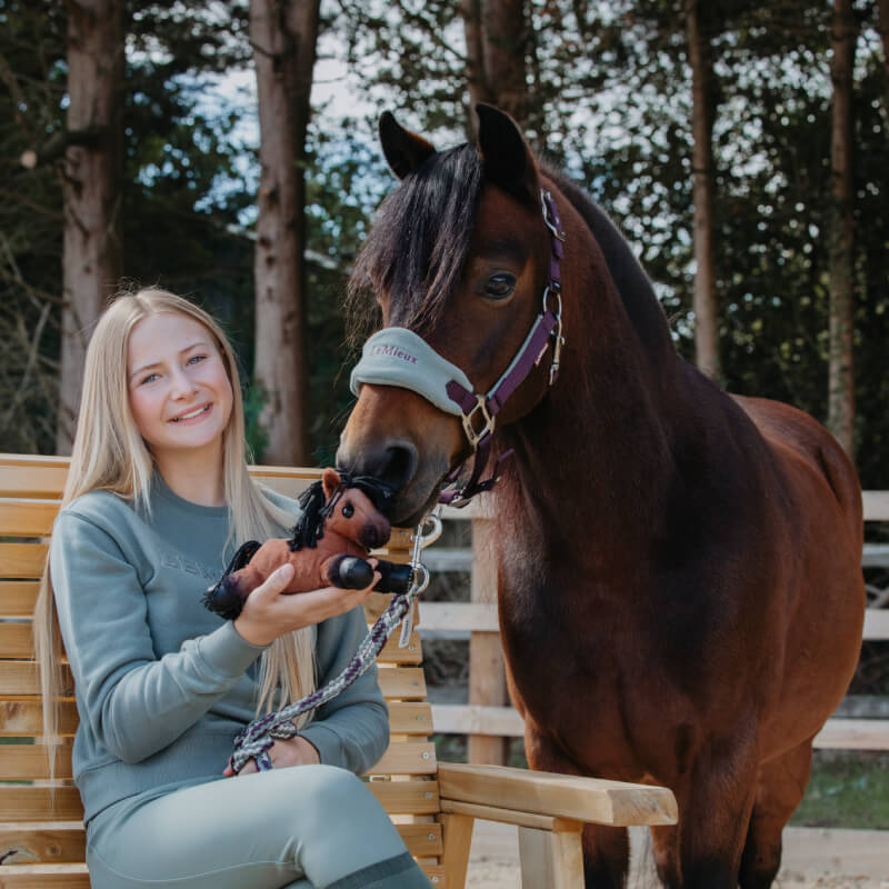 LeMieux Harlow Tiny Beanie Pony Rolo, plush brown horse with black mane and tail on white.