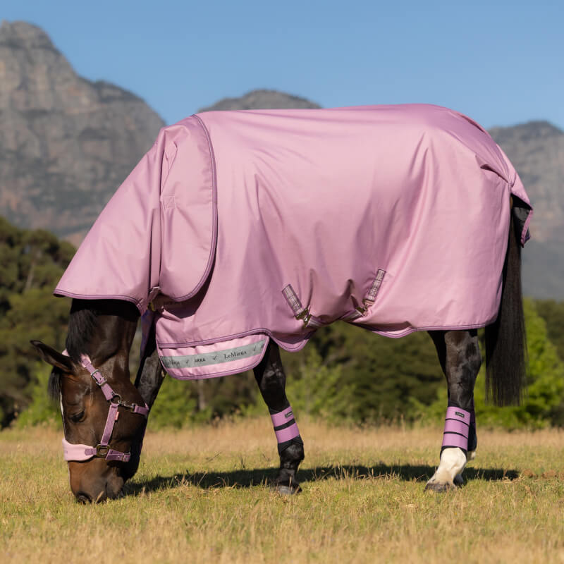 A horse in a LeMieux Arika Ripstop 50g Turnout Rug Fondant stands on a path by a house.