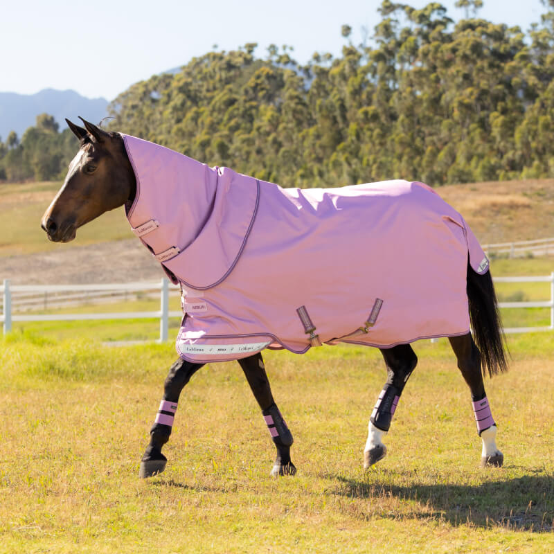 A horse in a pink LeMieux Arika Ripstop 50g Turnout Rug Fondant stands on grass near trees.