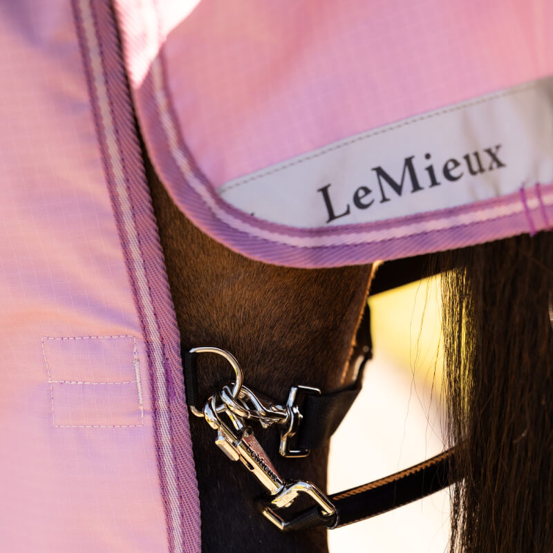 Close-up of a horse in a pink LeMieux Arika Ripstop 50g Turnout Rug Fondant with metal clasp.