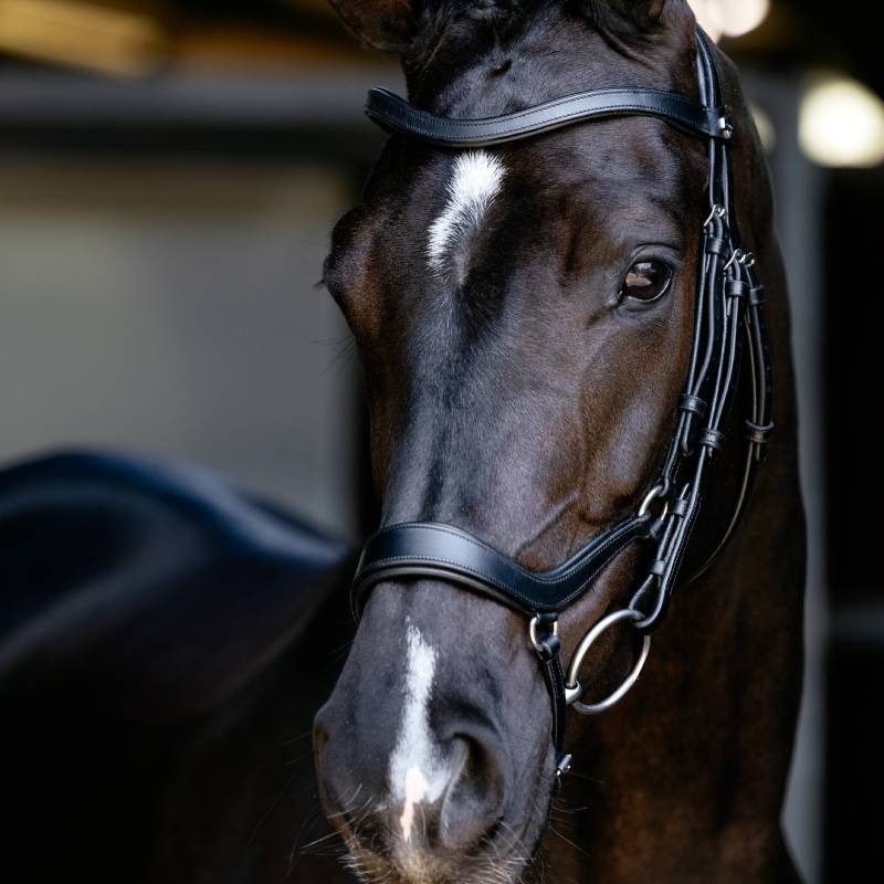 LeMieux Arika Anatomic Drop Bridle in black/silver, premium leather with metal buckles.