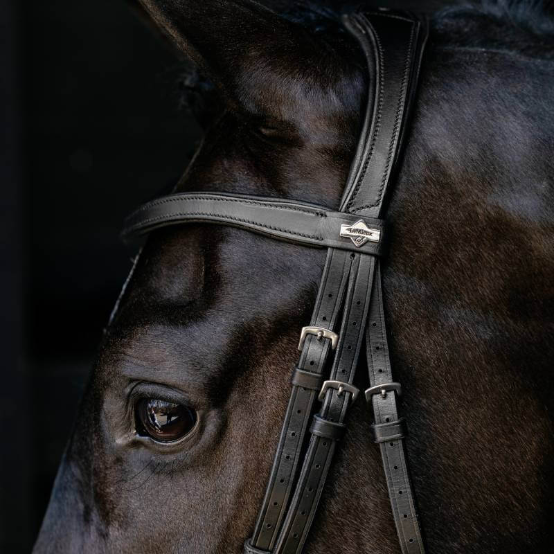 Black horse in LeMieux Arika Anatomic Drop Bridle Black/Silver by LeMieux against dark background.