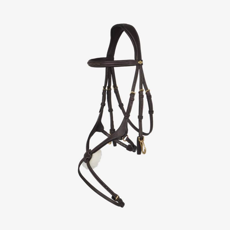 LeMieux Kudos Grackle Work Bridle Brown with brass fittings on a white background.