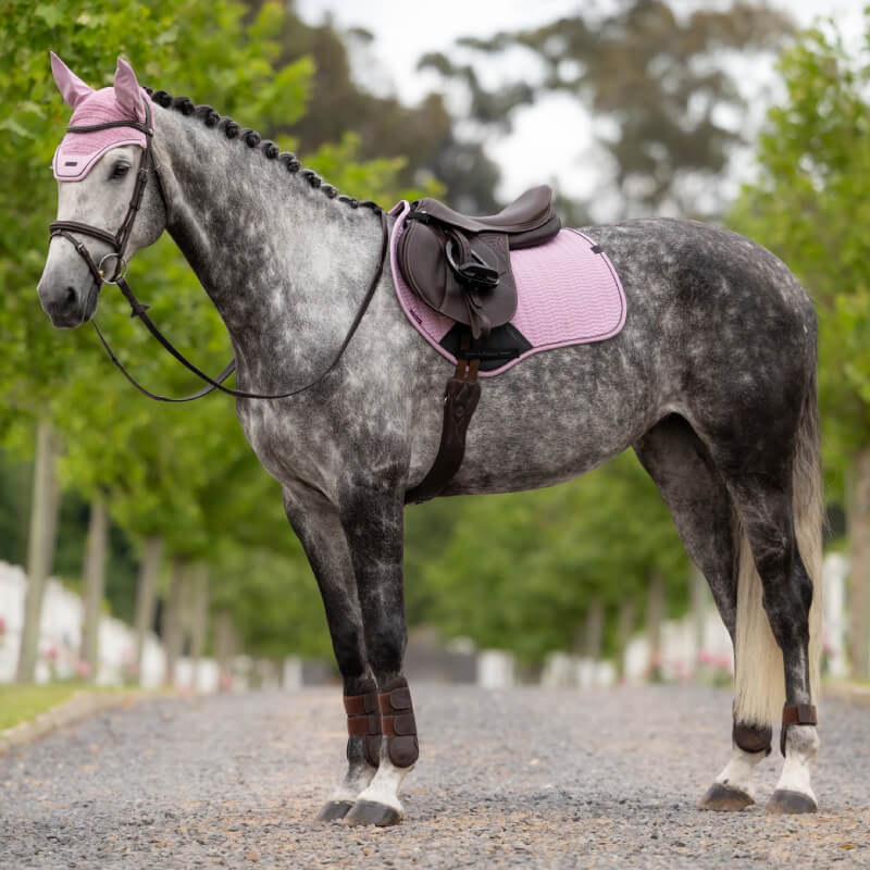 Gray horse in pink LeMieux Essence Close Contact Square Fondant stands on tree-lined path.