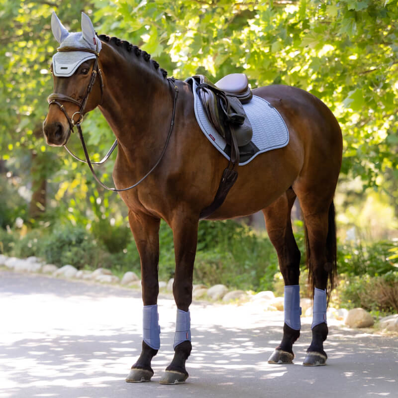 Brown horse with LeMieux Essence Close Contact Square Powder Blue on a shaded path.