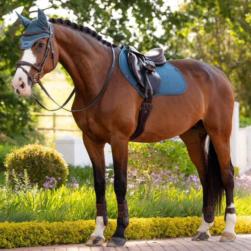 A brown horse with blue tack and a LeMieux Essence Close Contact Square Jungle pad on a path.