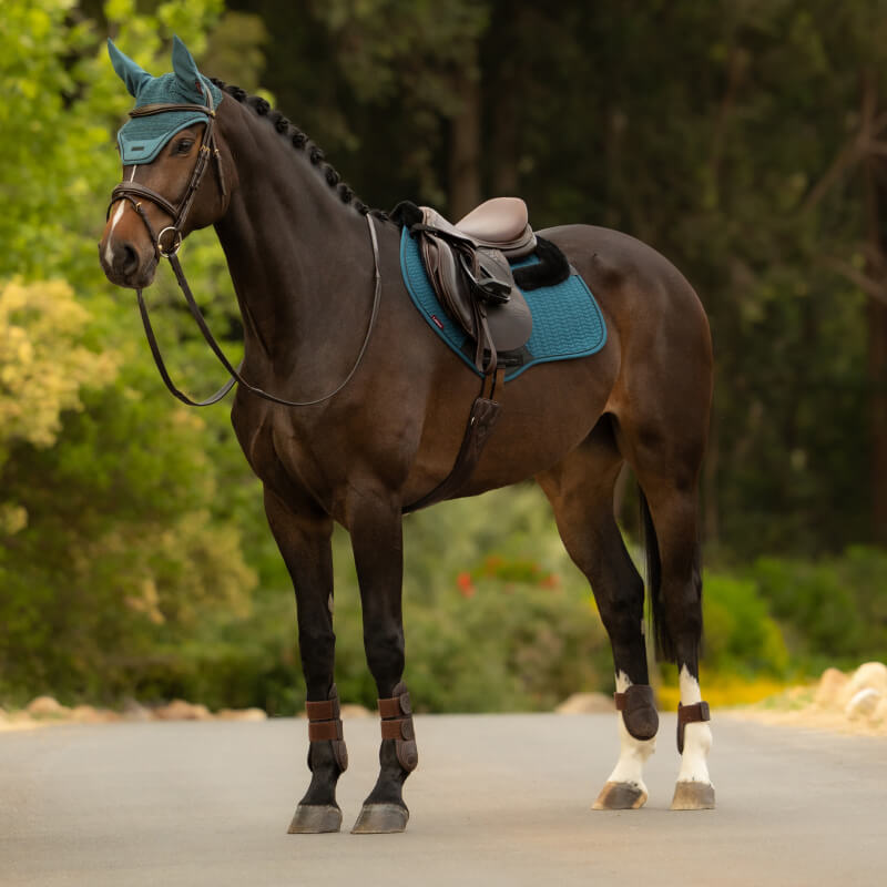 A dark horse with a braided mane wears a LeMieux Merino+ Essence Close Contact Square Jungle pad.