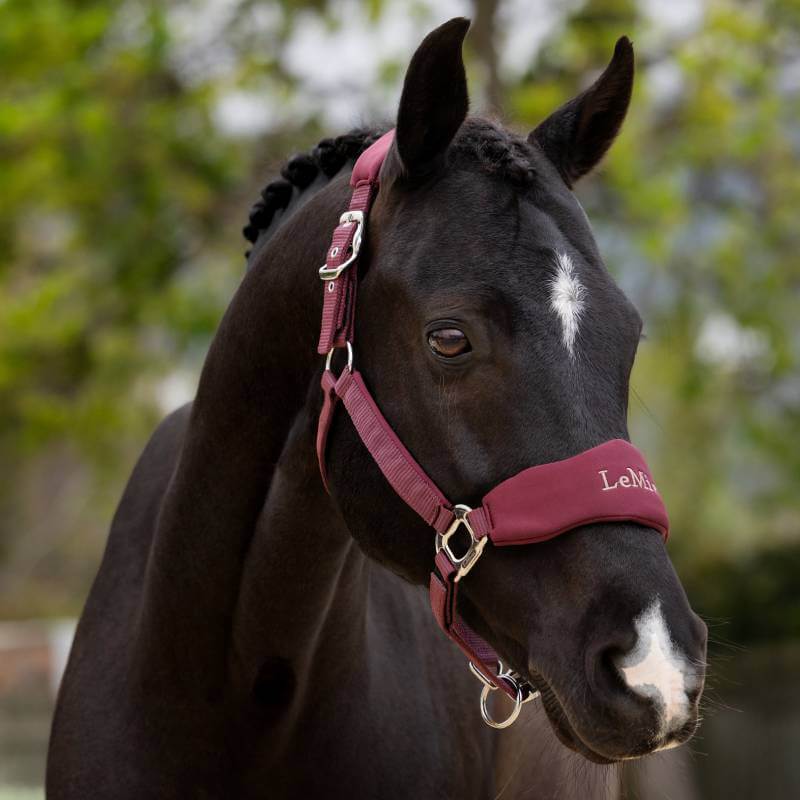 LeMieux Breakaway Vogue Headcollar & Leadrope Bramble