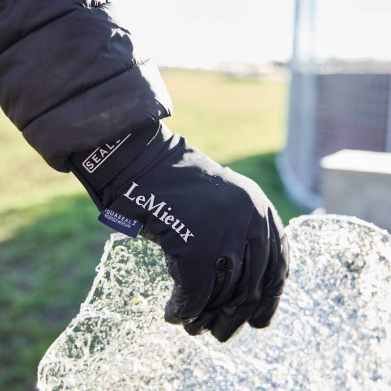 A LeMieux x Sealskinz Waterproof Glove Black holds ice outdoors on a sunny day.