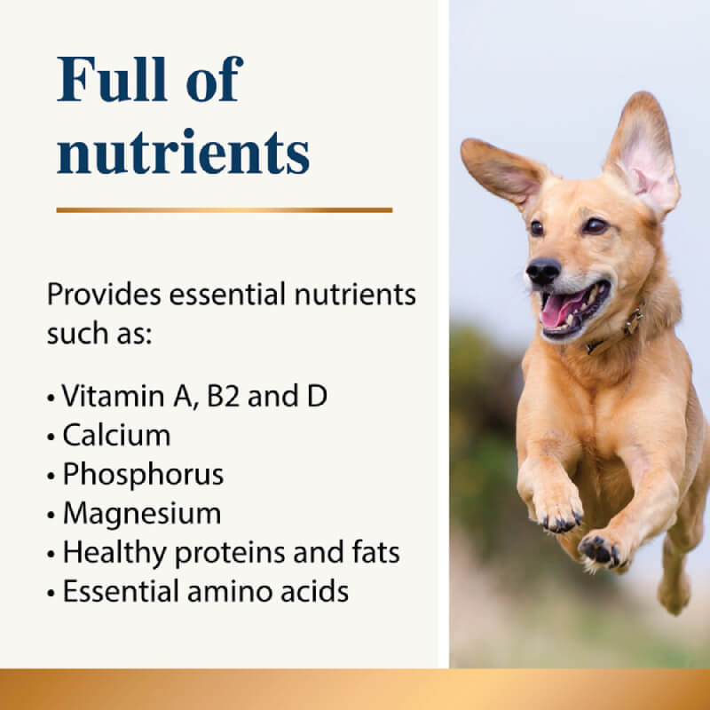 A happy dog jumps for Karnlea Goat Milk Powder, rich in essential nutrients for pets.