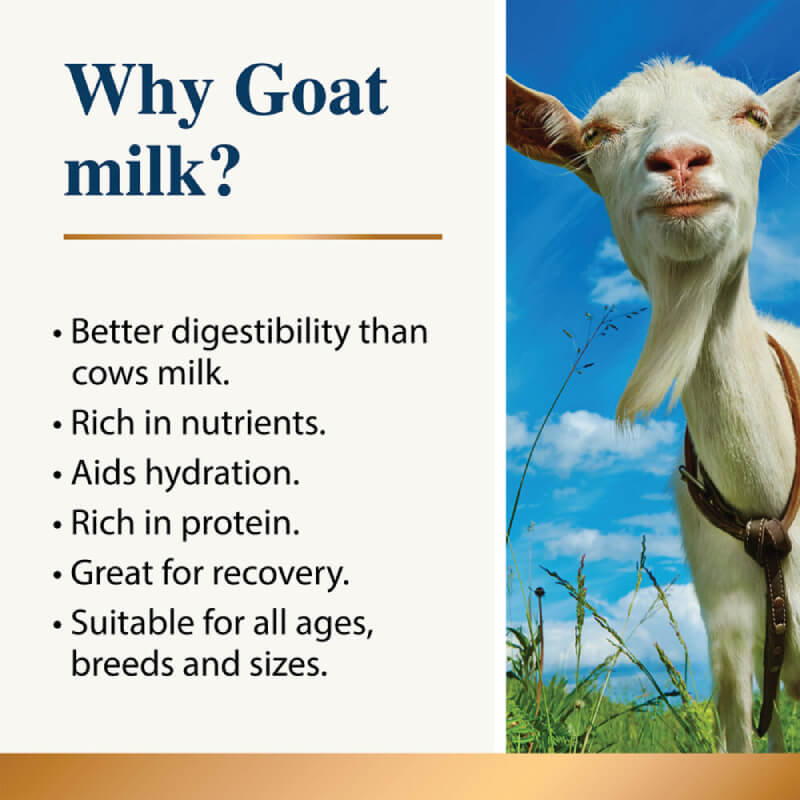 Karnlea Goat Milk Plus for Dogs & Cats promotes gut health, shown with a white goat in a field.
