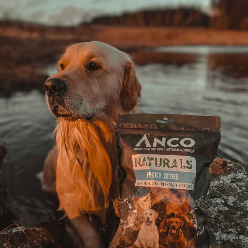 Anco Naturals Porky Bites 250g bag with two dogs on front; high protein dog chews.