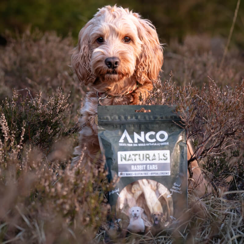 Anco Naturals Wild Rabbit Ears 100g