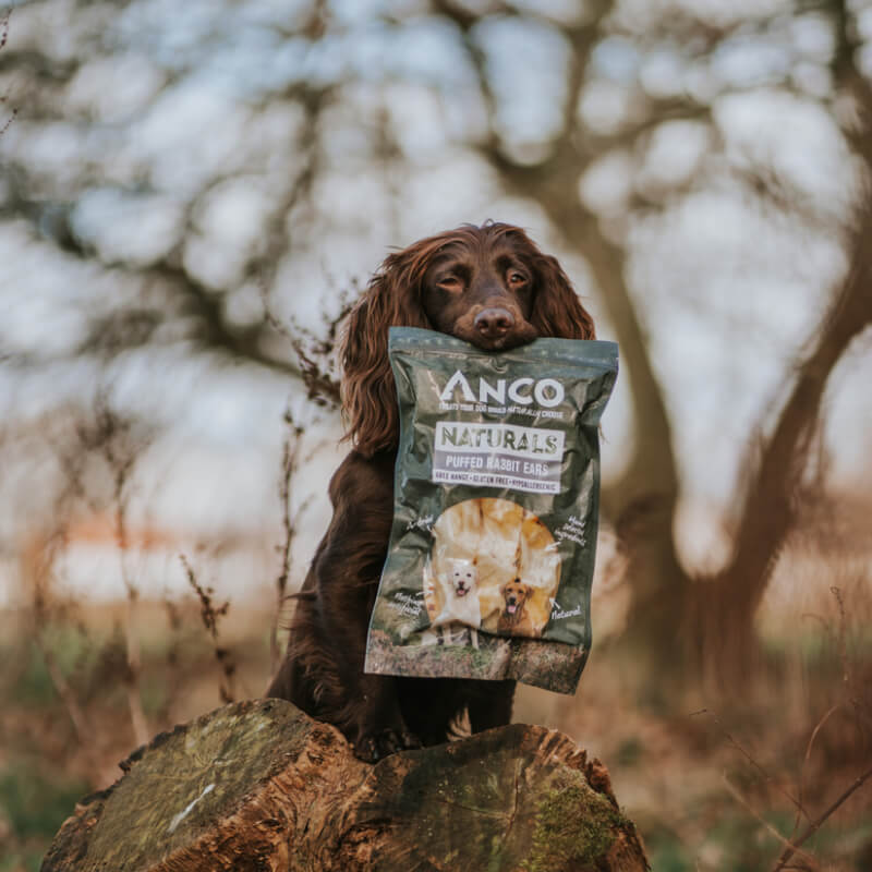 Brown dog on tree stump holding Anco Naturals Wild Rabbit Ears Puffed White 100g bag.