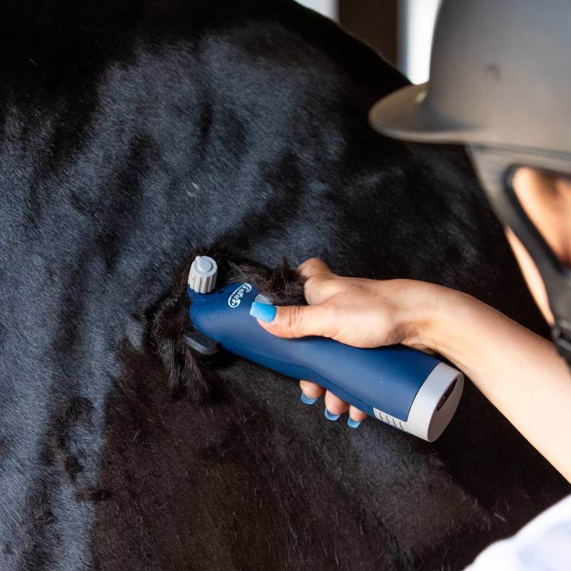 Trim a dark horse’s fur with the Lister Eclipse 2.0 Clippers Promo Kit by Lister.