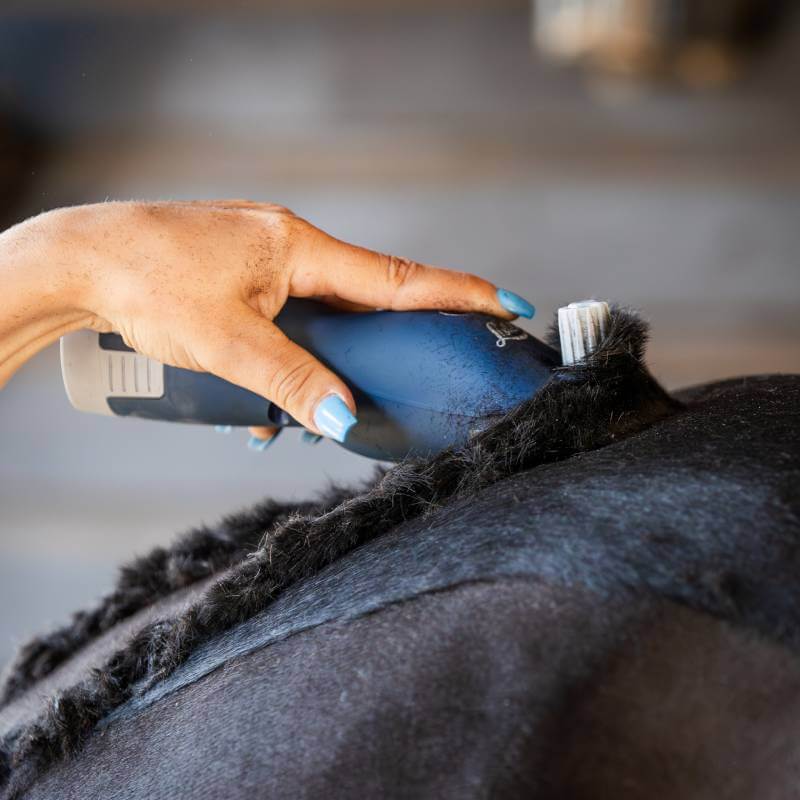 Hand using Lister Eclipse 2.0 Clippers Promo Kit by Lister to groom a horse's black fur.