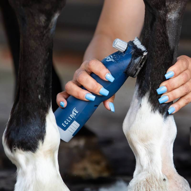 Person with blue nails clips horse’s leg using Lister Eclipse 2.0 Clippers Promo Kit.
