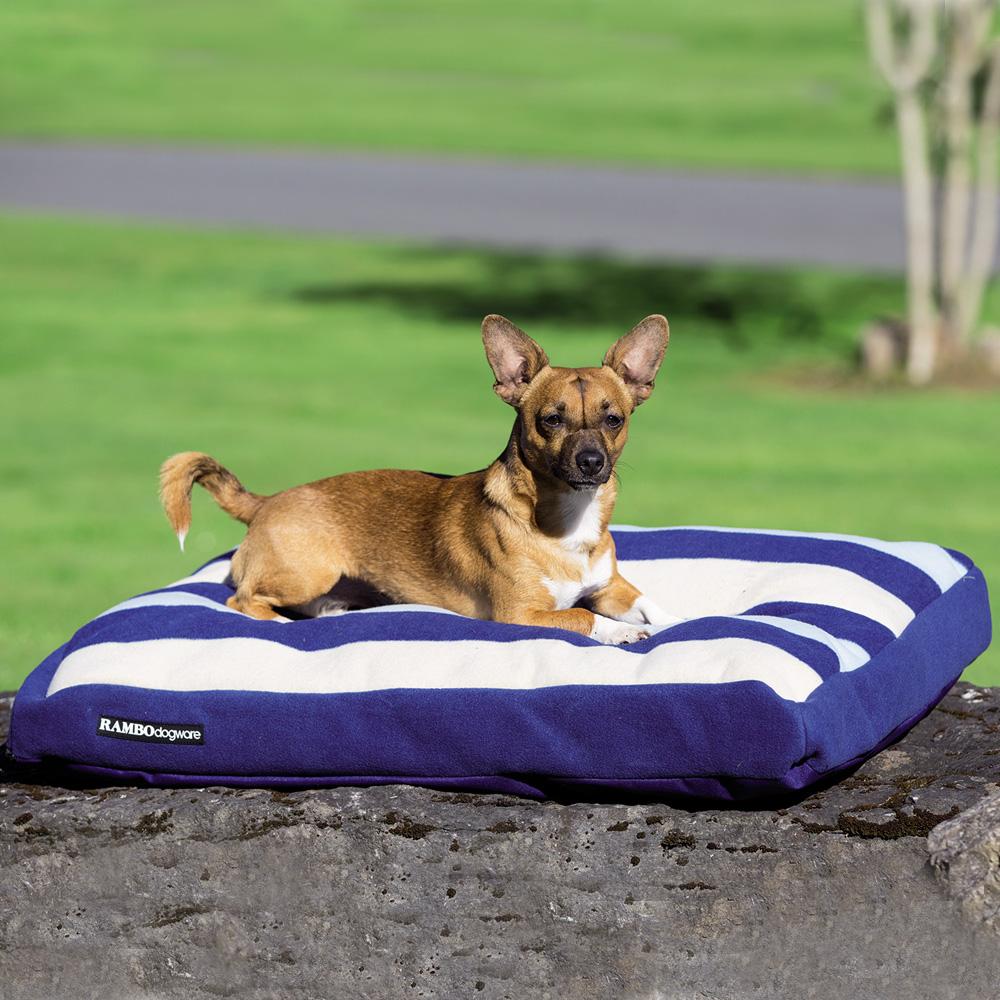 Small brown dog on a Horseware Rambo Deluxe Dog Bed with blue and white stripes outside in sun.
