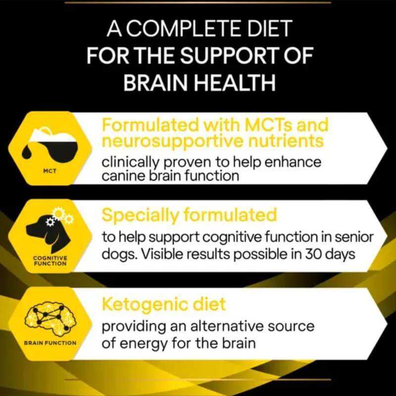 Infographic with diet tips and Purina Pro Plan Veterinary Diets NC Neurocare for senior dogs' brains.