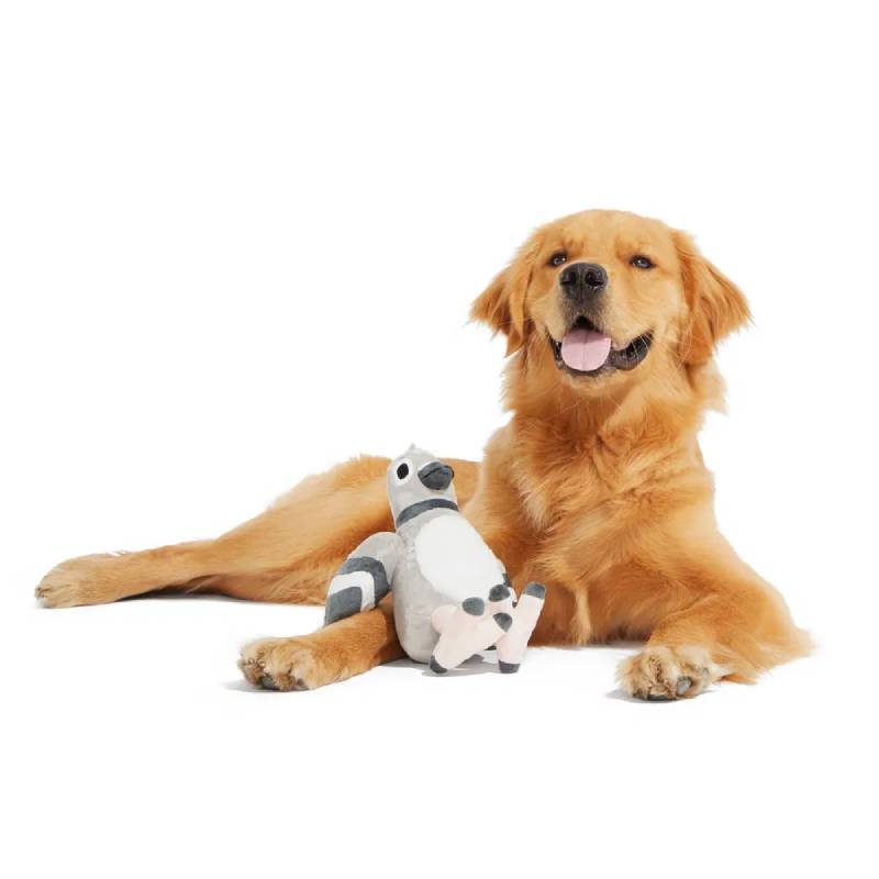 BARK Flappin Flossie Dog Toy: a gray and white plush pigeon with big eyes and pink feet.