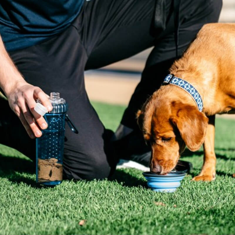 A person fills a Dexas Snack-DuO with Companion Cup Pro Blue with water on grass.