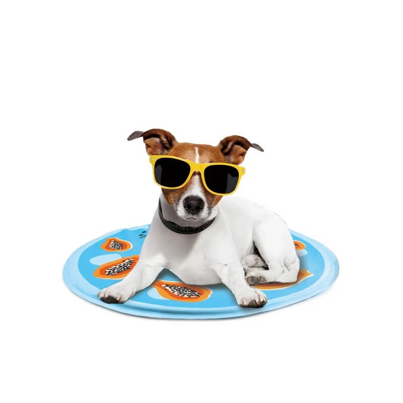 All For Paws Chill Out Papaya Cooling Mat: blue, round, papaya design, white text top right.