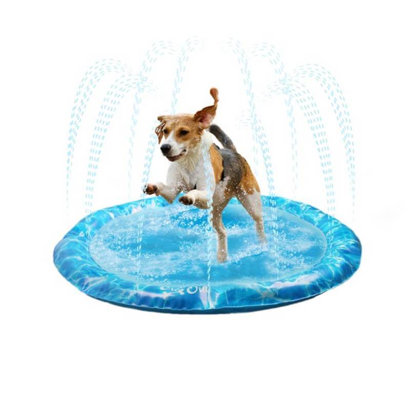 A dog plays on the All For Paws Chill Out Sprinkler Fun Mat Large with water spraying around.