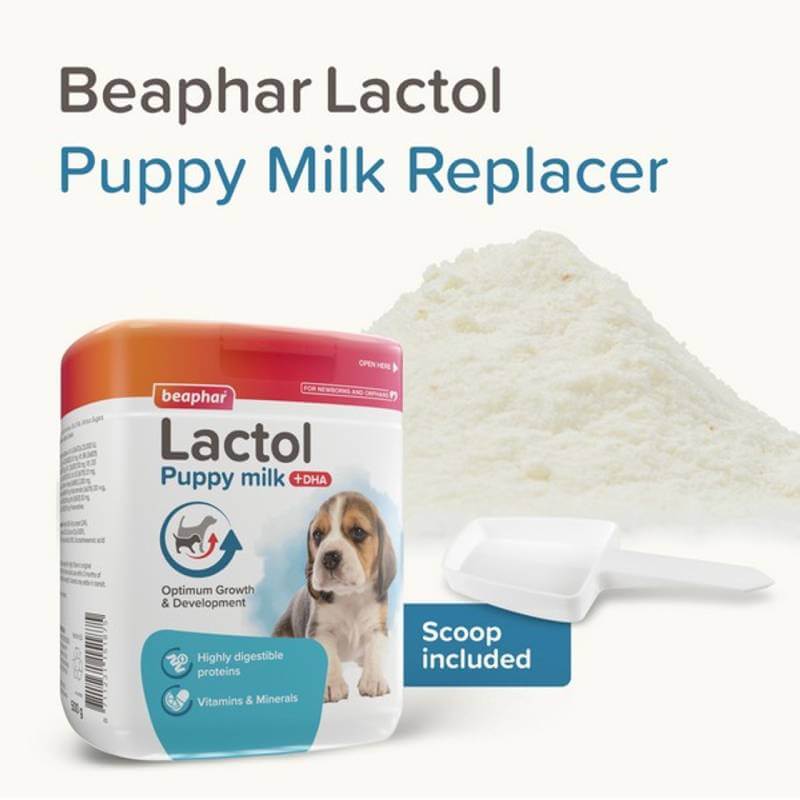 Beaphar Lactol Puppy Milk with scoop and container visible.