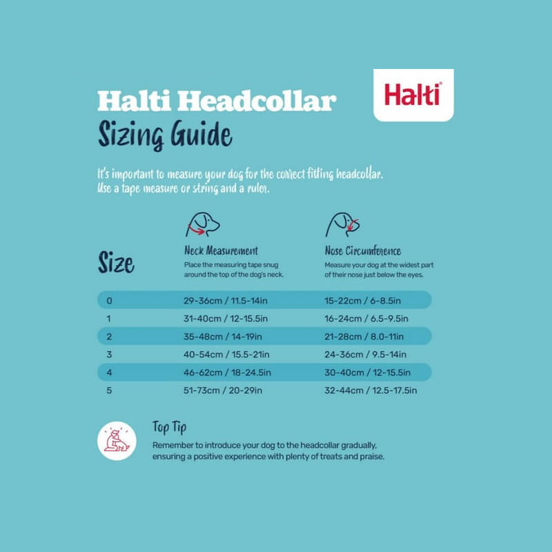 Halti Headcollar Forest Green size chart with neck and nose measurements for walking control.