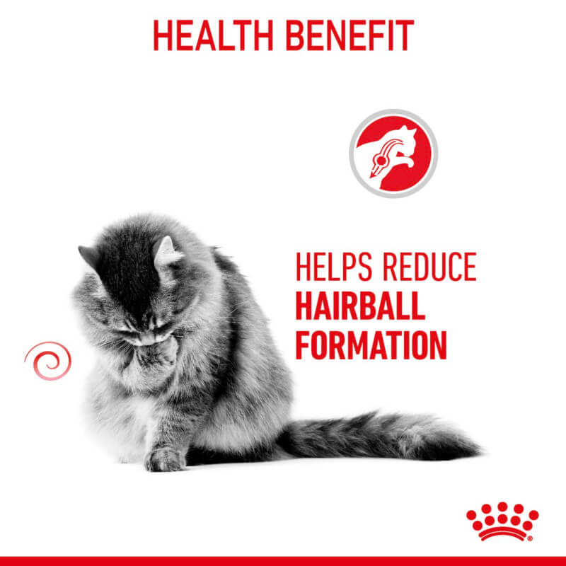 Helps reduce hairballs with Royal Canin Hairball Care In Gravy 12x85g.