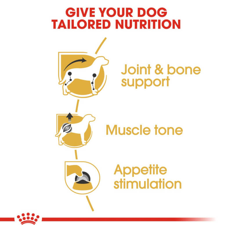 Royal Canin Dachshund Box 12x85g, joint and muscle support for adult dogs.